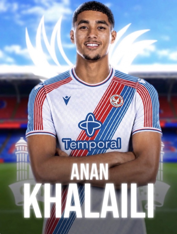 记者：水晶宫将在今日官宣签下圣吉罗斯边翼卫哈莱利